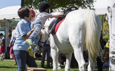 Se retrasa la novedosa Jornada «Family Day» de Navidad en el Hipódromo de la Zarzuela